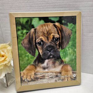 3 Ring Pug Puppy Dog Puppies Keith Kimberlin 1" Notebook Vinyl Binder Class Act